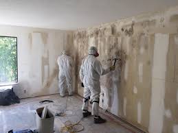 Best Mold Remediation for Healthcare Facilities in USA